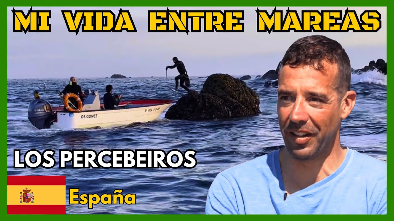 VIDA DE MARINEROS, Galicia y el mar de España [MR. DOCUMENTALES] #españa #documentalesenespañol ###