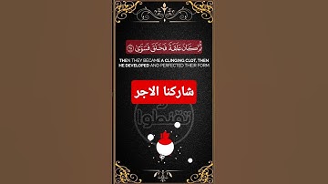 أيحسب الإنسان أن يترك سدى القارئ جابر القيطان من سورة القيامة #يوتيوب #ياسرالدوسري #القرآن_الكريم