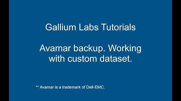 Avamar backup. Working with custom dataset.