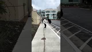 IMG 3961