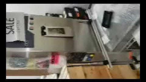 OCS Checkweighers GmbH Type HC Checkweigher, 2013