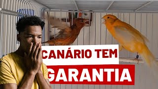 SÓ COMPRO se der GARANTIA! Eu respondi.....