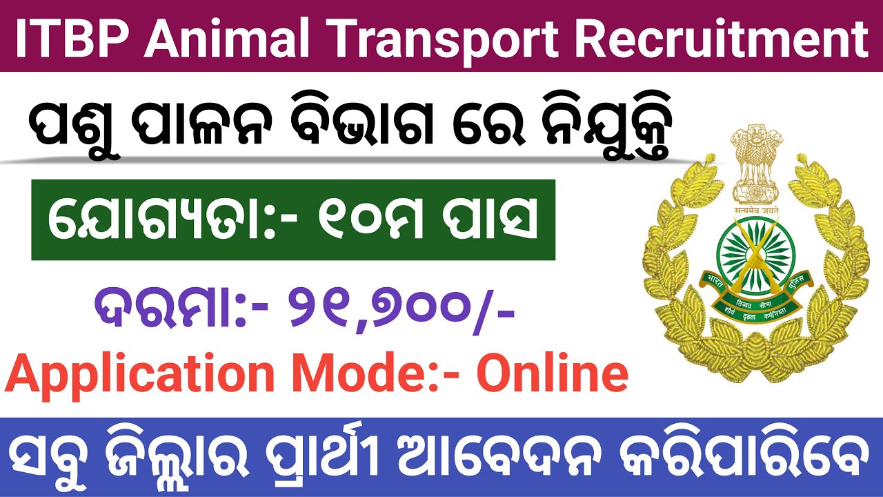 ITBP Animal Transport Recruitment 2022 ! ITBP 10th Pass New Job Vacancy  2022 ! Odisha Job Updates - YouTube