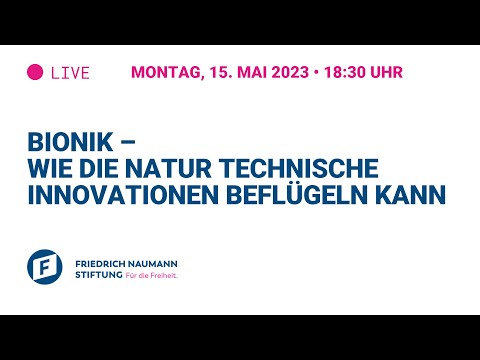 Bionik – Wie die Natur technische Innovationen beflügeln kann