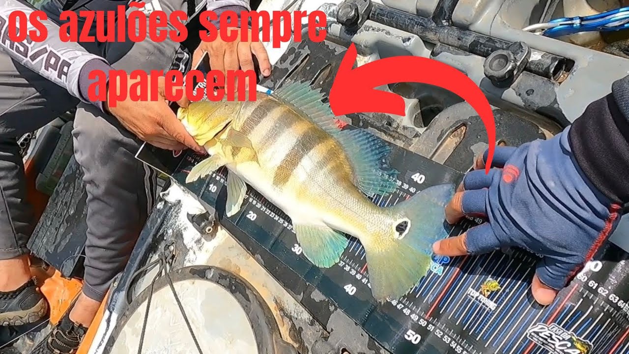 Pescaria de tucunaré no rio Parauapebas.