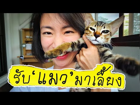 My Kid - อุปการะ ‘แมว’ วันแรก! Ep. 1 | When I Adopted a Cat