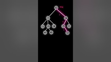 Height of Tree with Visuals  #shorts #dsa #computerscience  #engineering #tree #cse #algorithms