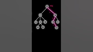 Height of Tree with Visuals  #shorts #dsa #computerscience  #engineering #tree #cse #algorithms