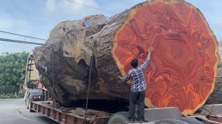 Cutting a Giant 2000-Year-Old Log Reveals Stunning Results