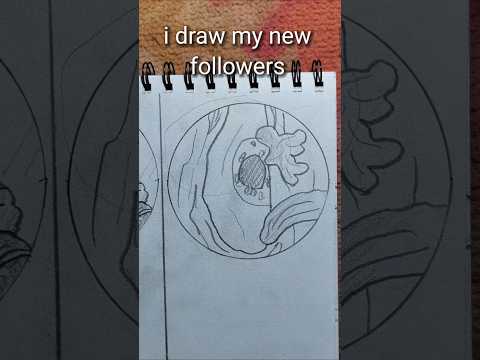 Untitled video