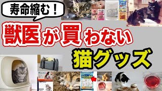 【知らないと危険】人気だけどオススメできない猫用品！実は命に関わる猫グッズを獣医師が解説します