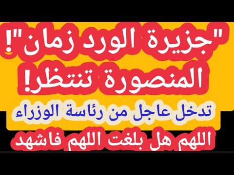المنصورة جزيرة الورد تنتظر تدخل عاجل من مجلس الوزراء أتمنى ذلك