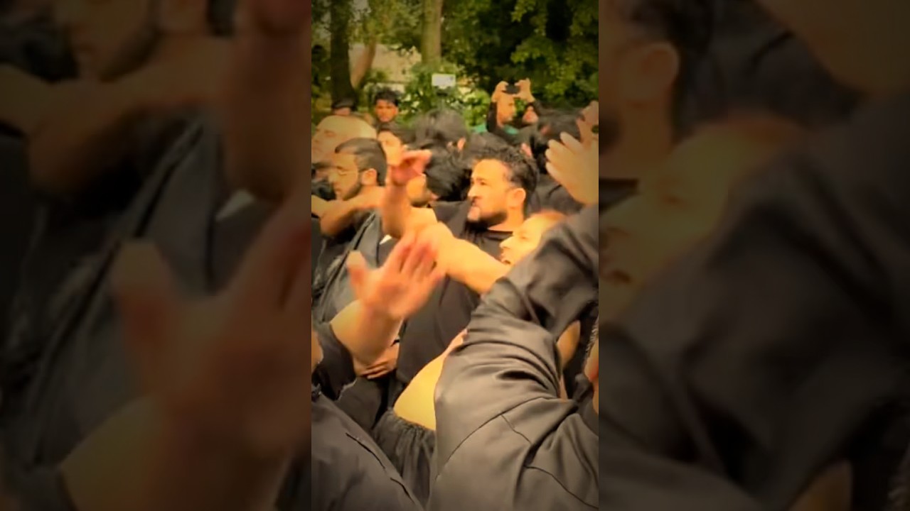 Framera - Inžinieriai ( Official ) 