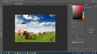 Toyda nima boladi? Jinsiy aloqa va jinsiy aloqa.