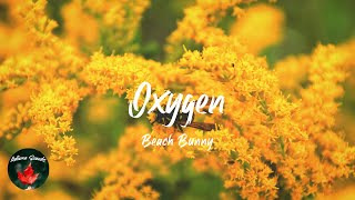Beach Bunny - Oxygen (Lyric video)