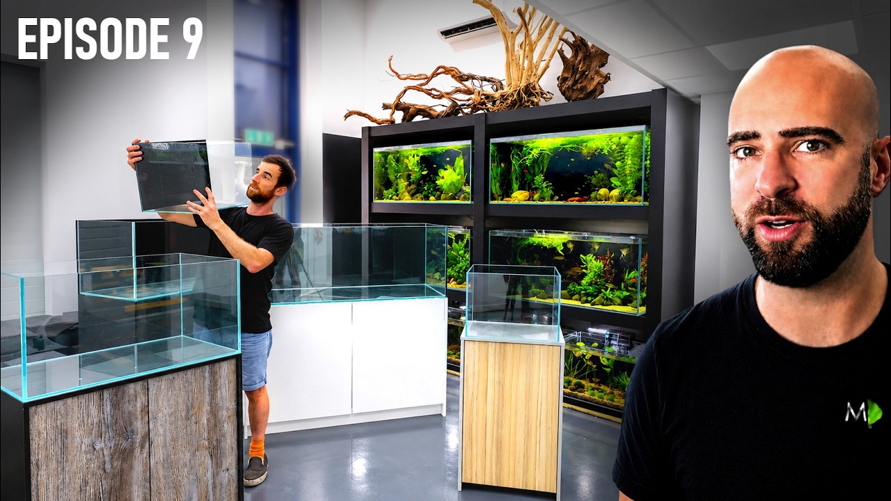 Moving LOTS of Fish Tanks Into The New Studio! + NEW FLOOR | EP09 | Warehouse To Fish Studio