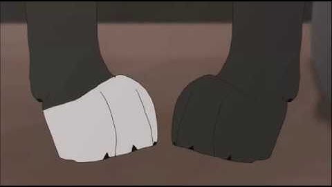 The Other Side || Scourge and Tigerstar MAP || Part 10