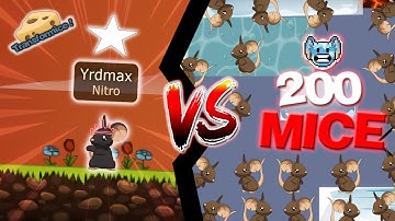 YRDMAX V/S 200 MICE - TRANSFORMICE