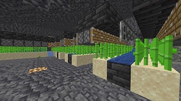 How To Make the BEST DonutSMP.net Sugarcane Farm