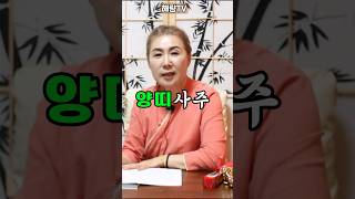 양띠 알고 살아야 좋겠죠? #양띠운세 #사주