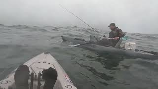 Hobie Outback and Santa Cruz Kayaks Stability in the Sloppy Ocean on the Oregon Coast