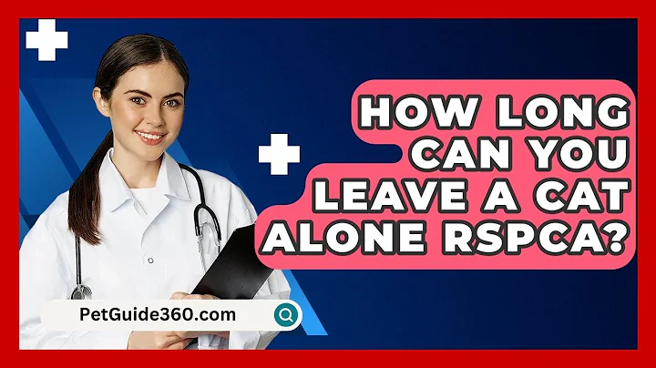 How Long Can You Leave A Cat Alone RSPCA? - PetGuide360.com