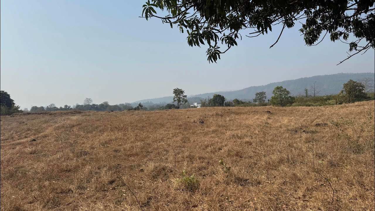 Agricultural land for sale in Raigad 8788035368 