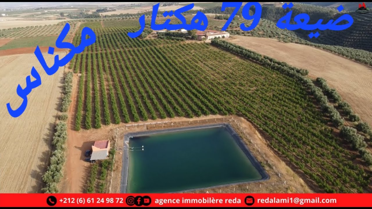 Meknes Ferme 79h équipée مكناس ضيعة 79 هكتار مجهزة