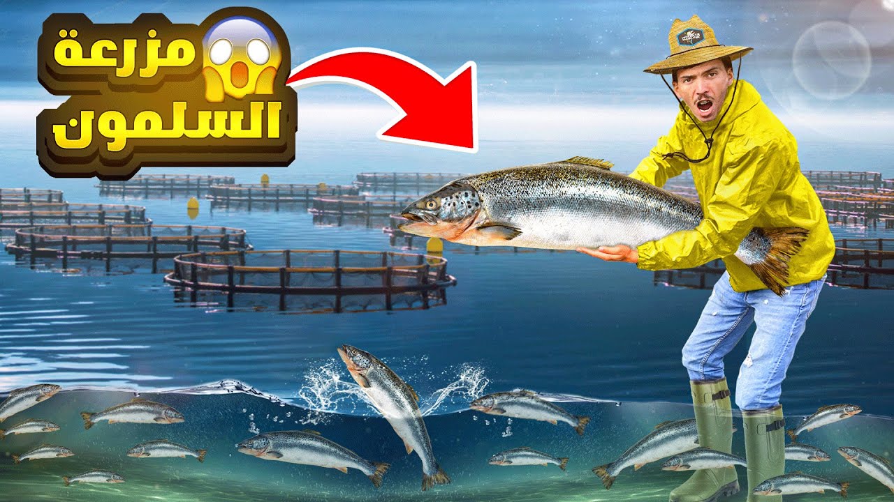 أغرب طريقة لتربيه الاسماك في العالم 😱 | مزارع السلمون باتركيا .. 🇹🇷 fish farming in turkey