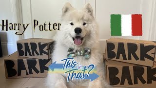 Which BARK theme would you pick? Barkbox and Super Chewer subscription box review
