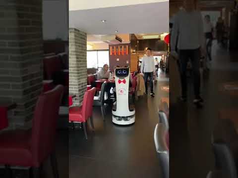 Robot de service restaurant l'Aigle royal de Quimper