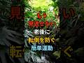 もう見逃せない!老後に転倒を防ぐ簡単運動 #シニア #60代 #70代 #80s #健康 #お金