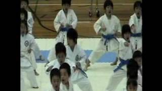 Shiramizu Karate's 10th Annual Club Championships