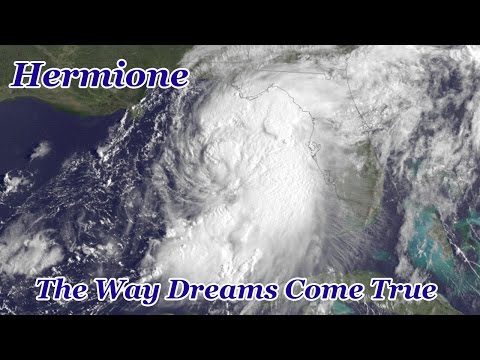 Hurricane Hermine is coming | Flooding in Tampa Bay