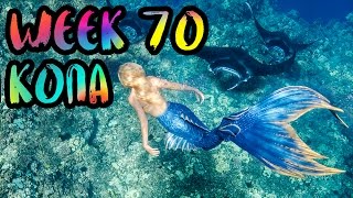 MERMAIDS ARE REAL!! Swimming with Dolphins, Manta Rays, and SHARKS!! /// WEEK 70 : Kona, Hawaii