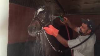 Empire Maker - Cool Shower On A Hot Day