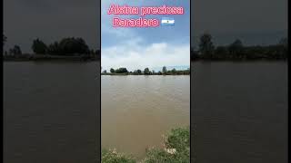 Camping Alsina lugar único para pescar y acampar. #viajes #lugares #argentina #milugarenelmundo