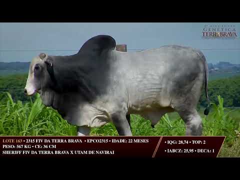 LOTE 163   EPCO 2315