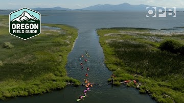 First Descent: Kayaking the Klamath River after the largest dam removal in U.S. history