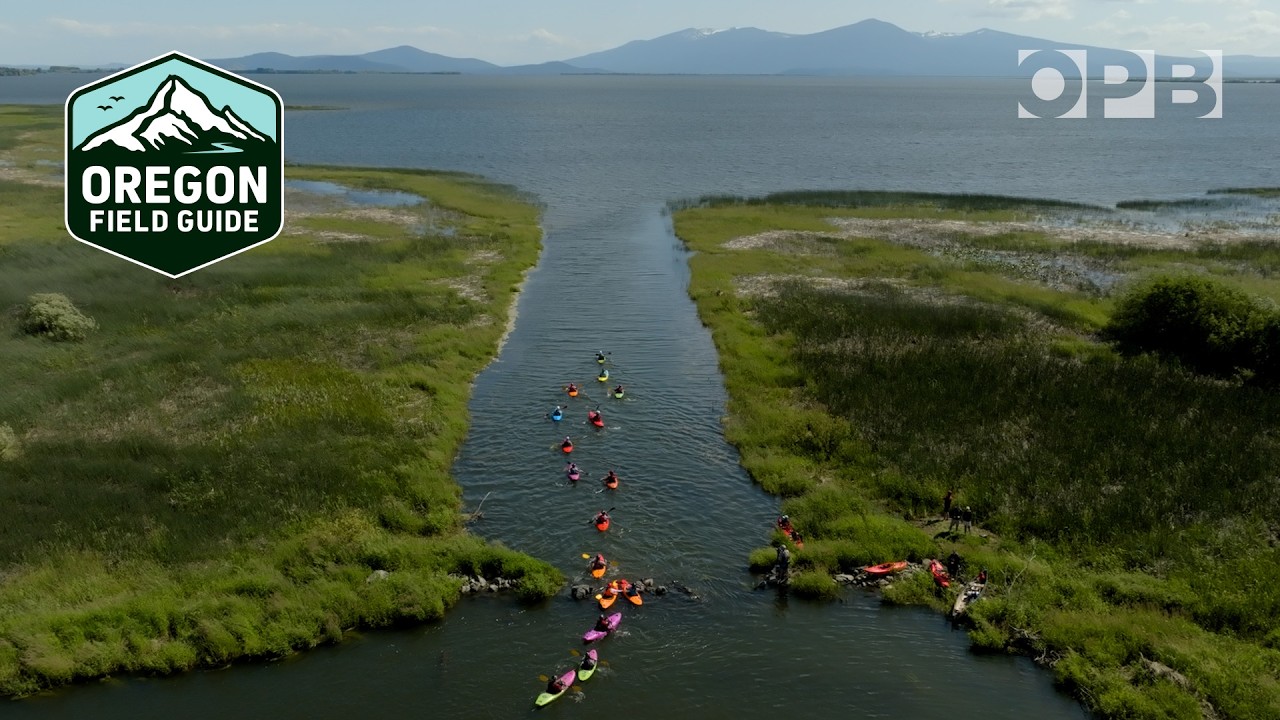 Первый спуск: сплав на байдарках по реке Кламат после крупнейшего в истории США сноса плотины
