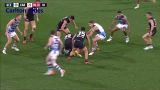 Dale Daisy Thomas - Final Afl Game Highlights - Round 23 2019 - Carlton Blues Vs Geelong Cats
