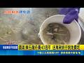 霸氣! 東石龍舟賽40週年 肥美鮮蚵近2萬斤! 志工清晨3點準備 送萬碗蚵仔粥免費吃｜三立新聞LIVE
