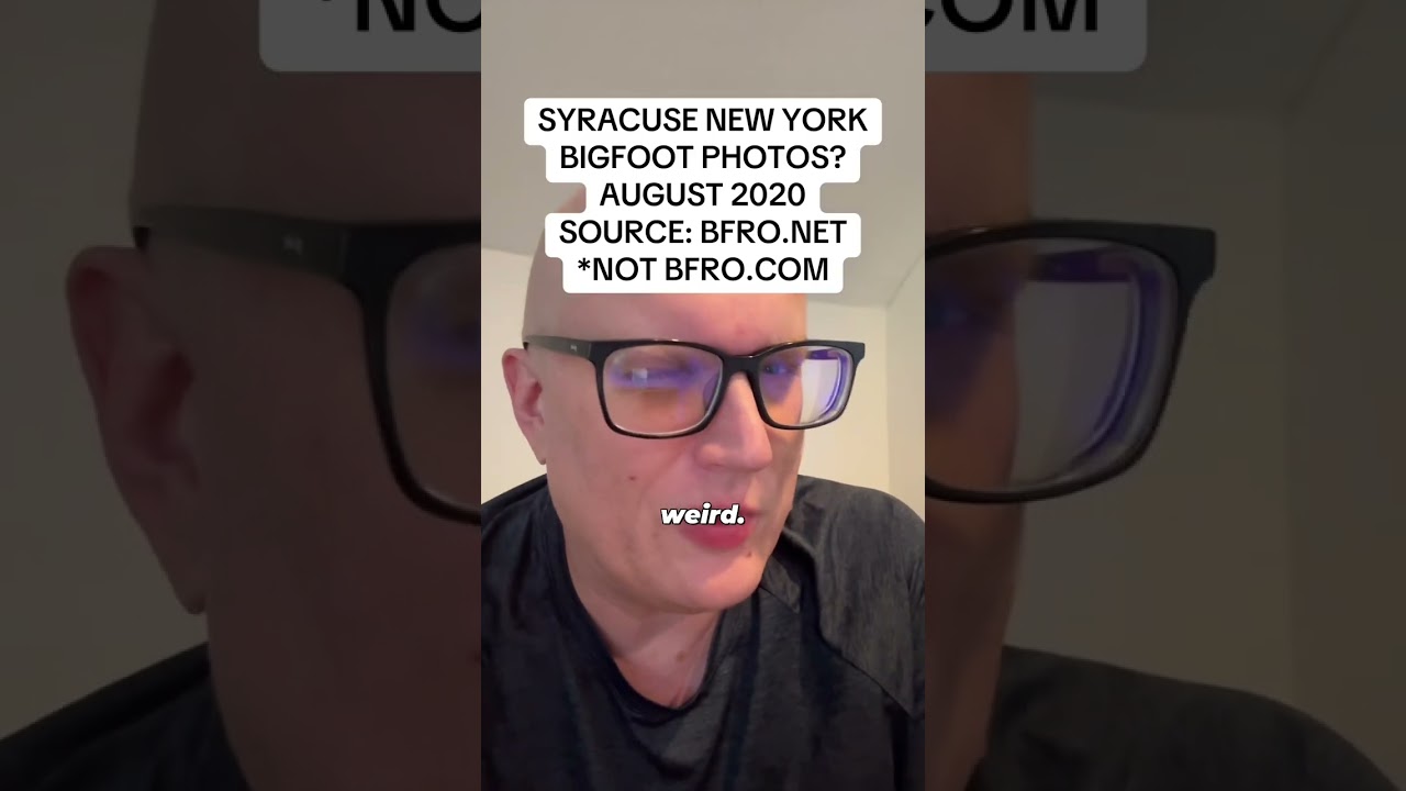 Shrekfoot? / Syracuse, New York / source: bfro.net #bigfoot #newyork #publishtoall