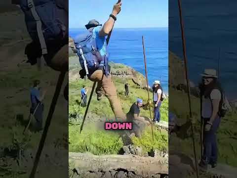 The Stick That Defies Gravity! 🏝️🧗‍♂️