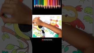 Birds Coloring Pages Coloring for kids