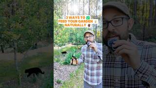 3 ways to feed your garden naturally #Gardening #Permaculture #Pruning #Tools #fiskars 