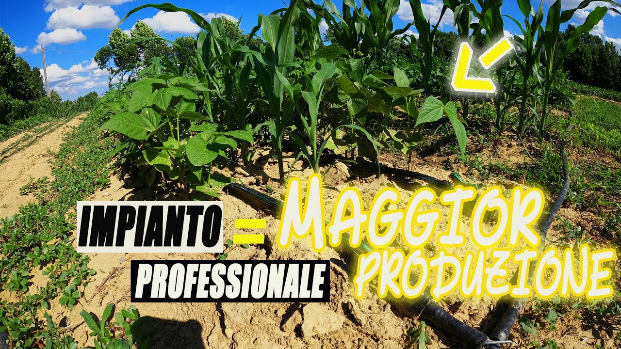 IMPIANTO di IRRIGAZIONE per irrigare 400mq con solo 70euro | pt2