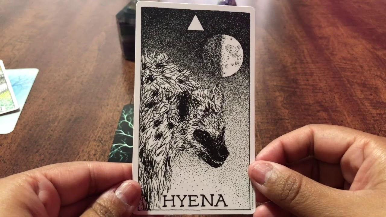 What does My intuition want me to know ?