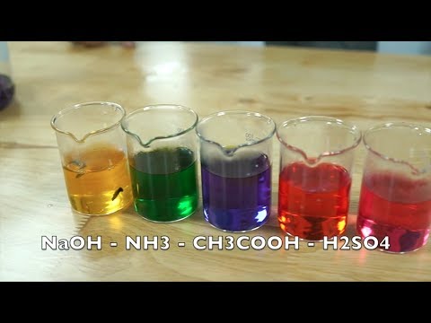 Video [Thí nghiệm Hóa Học] - Màu của dung dịch thay đổi theo... - youtube
