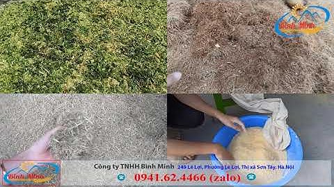 Máy Băm Xơ Dừa, Bã Mía, Rơm Rạ  - Công ty Bình Minh